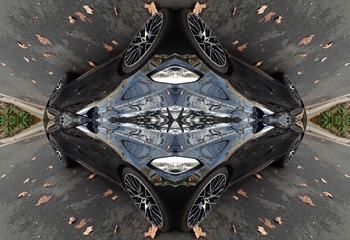 P6215591Kal12.jpg